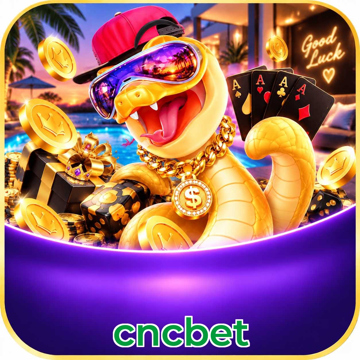 cncbet